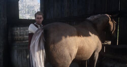 Red Dead Redemption 2: Como encontrar o Tesouro do Chick