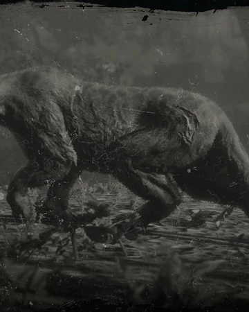 Legendary Giaguaro Panther Red Dead Wiki Fandom