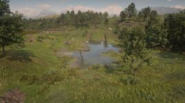MattockPond1899v2