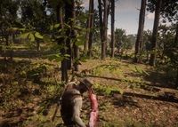 Arthur skinning a rabbit in RDR2