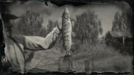 Legendary Redfin Pickerel RDR2