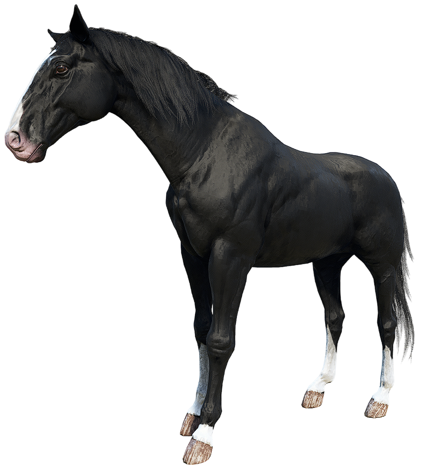 Appaloosa, Red Dead Wiki