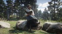 Sadie Adler reading a book