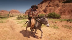 Rio Bravo Red Dead Wiki Fandom