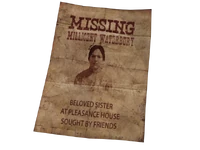 1ST Missing poster (In 3d)