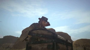 Rdr chest