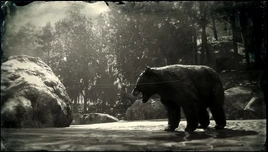 BlackBearRDR2