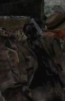 Odessa's body, in the opening cutscene.