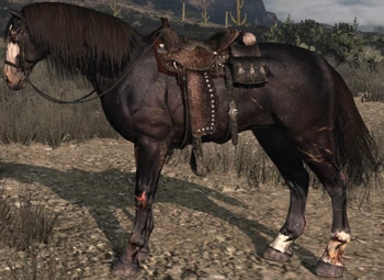 Saddled Dark Horse