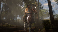 Arthur on his horse