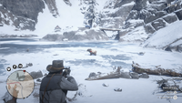 Niedźwiedź grizzly napotyka wilki na zamarzniętym jeziorze Barrow Lagoon