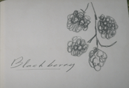 John's drawing of a Blackberry