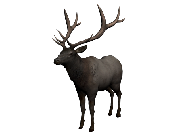 Elk | Red Dead Wiki | Fandom