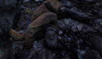 JimPeytonDead