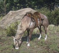 A photo of Maggie in camp