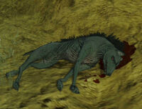 Detail of a freshly-killed Chupacabra.