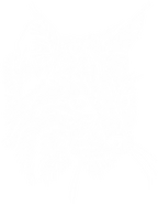 The unused compendium icon for the Bobcat