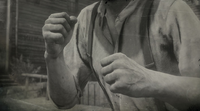 Fists photo shown in compendium in Red Dead Redemption 2.