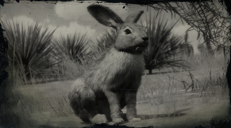 Рдр 2 кролик