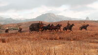 An armored stagecoach travelling through the beta Heartlands, all horses in this shot are unused