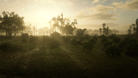 Mist RDR2 Hagen Orchards