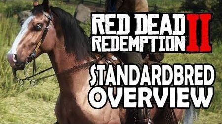 Red_Dead_Redemption_2_Horses_-_American_Standardbred_Overview