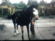 Kunik3.jpg (1.05 MB)