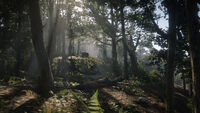 In the dense forests along with various animals in the backdrop