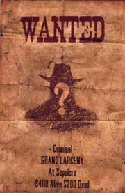 Wanted-poster-for-unknown-01