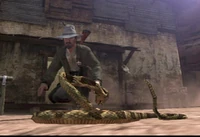 Rattlesnake-eyeing-Heath-Michaels.jpg (166 KB) A rattlesnake daring Heath Michaels to come closer.