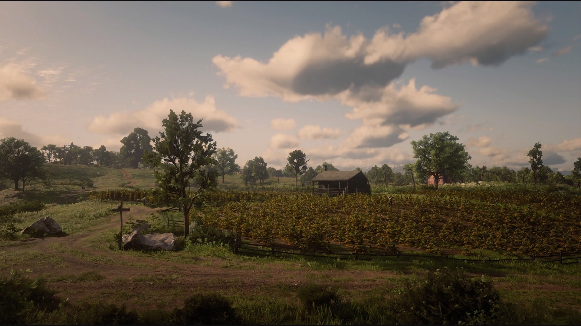 Arthur Morgan With Gun In Background Of Trees Mountain And Sky With Clouds  HD Red Dead Redemption 2 Wallpapers, HD Wallpapers