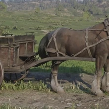 Fence Red Dead Wiki Fandom