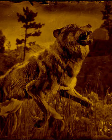 legendary emerald wolf red dead wiki