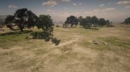 Warthington Ranch Location in Red Dead Redemption 2