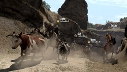 Rdr the herd01