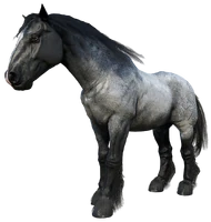 The Iron Grey Roan Ardennes