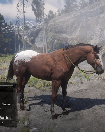 Appaloosa Red Dead Wiki Fandom Appaloosa Red Dead Wiki Fandom
