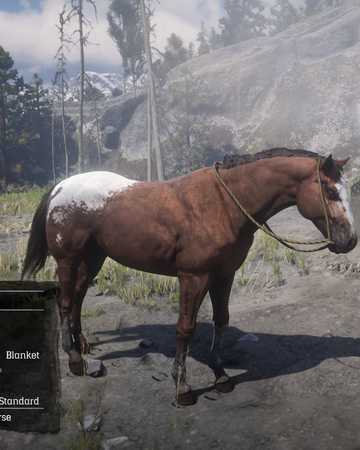 Appaloosa Red Dead Wiki Fandom