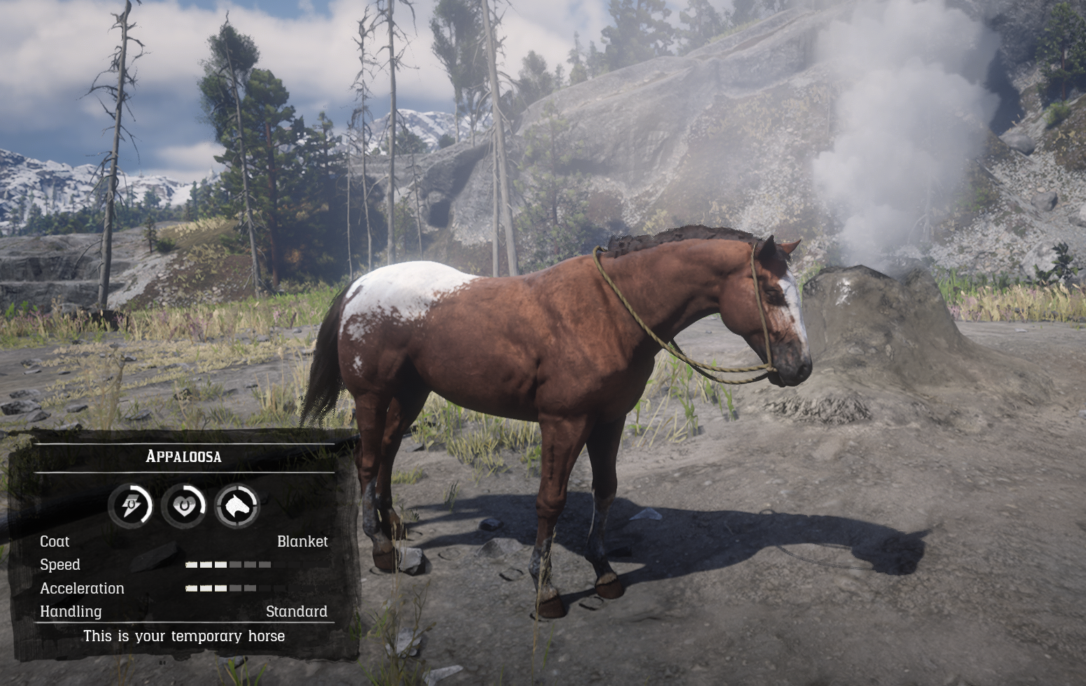 Appaloosa Red Dead Wiki Fandom