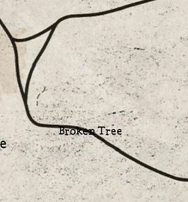 RDR