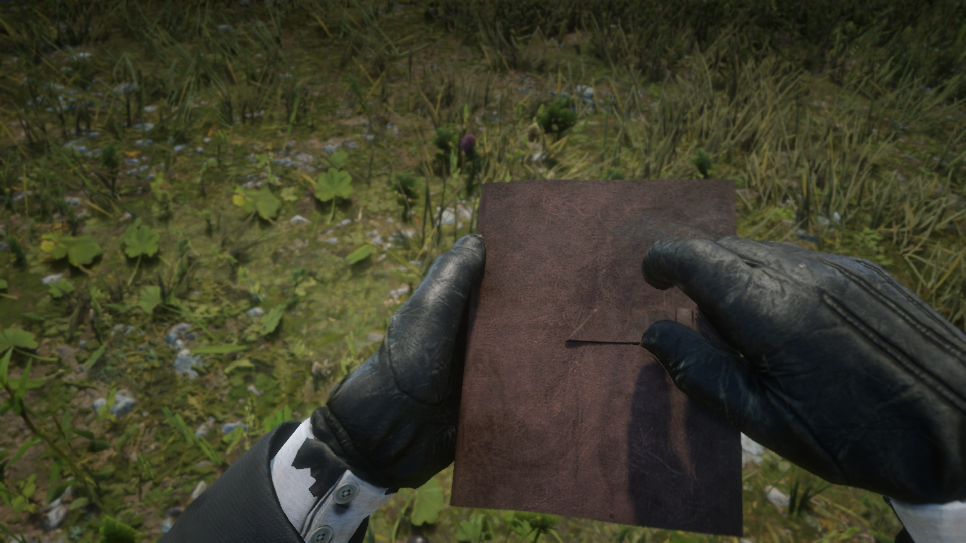 The Arthur Morgan Journals