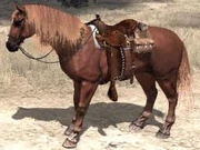 A riderless Quarter Horse