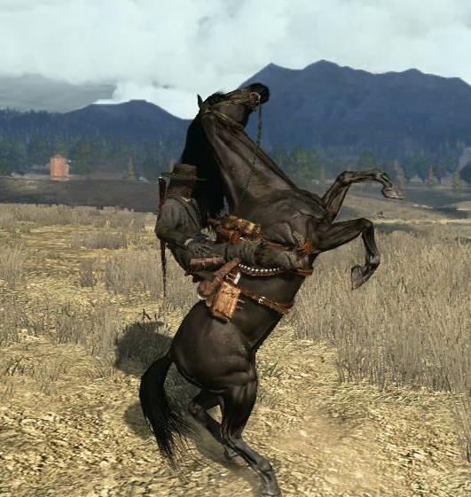 where is the american standardbred in rdr2