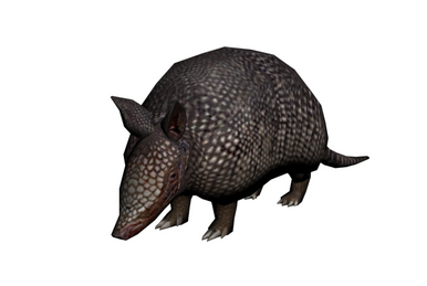 Nine-banded Armadillo, RDR2 Animals