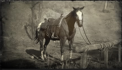 Hitching-RDR2