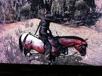 Photo(1).jpg (2.75 MB) John Marston riding a recently-freed stagecoach horse.