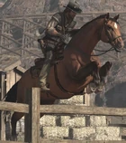 Wildlife.horsejump