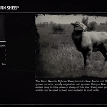 Sheep Rdr 2 Red Dead Wiki Fandom