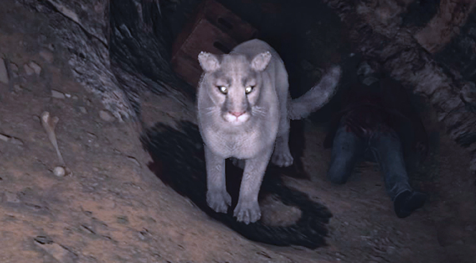 White Cougar | Red Dead Wiki | Fandom
