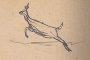 Boceto de un ciervo de cola blanca (por Arthur Morgan).